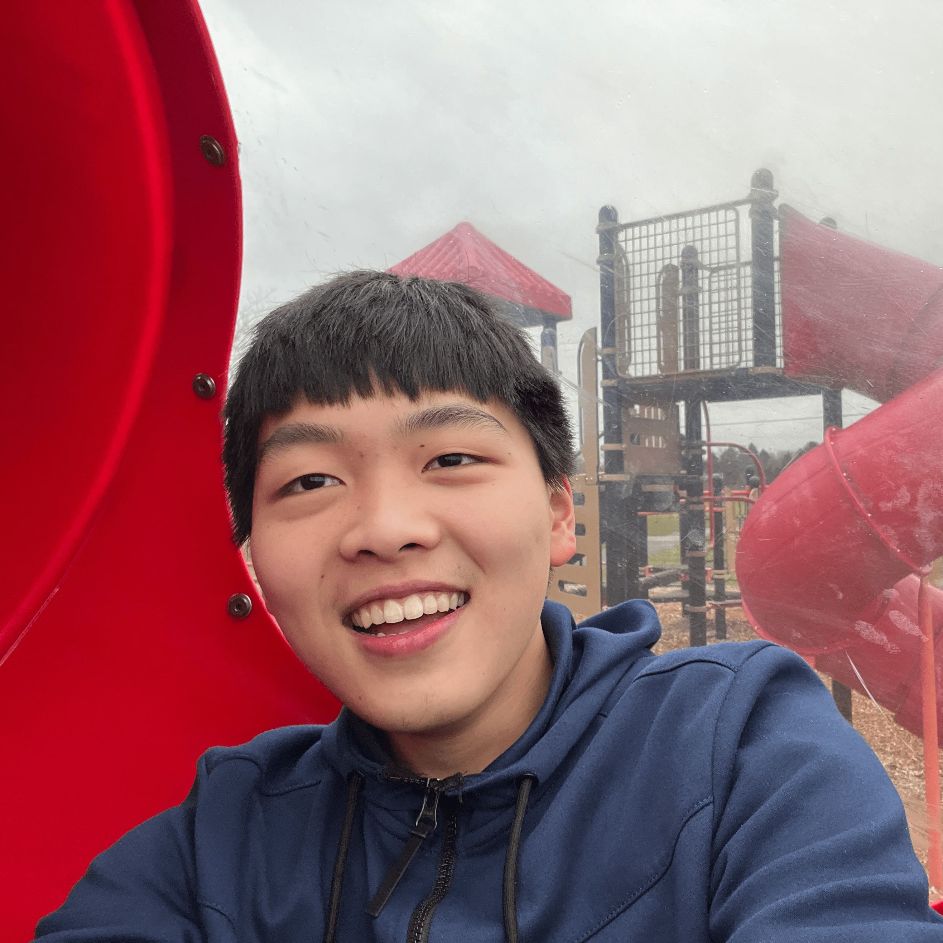 Avatar picture of the user